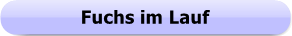 1242c - Button - Fuchs im Lauf