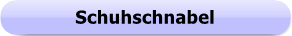 1274 - Button - Schuhschnabel