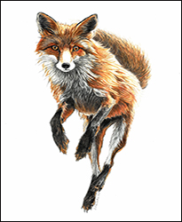 1242c - Fuchs im Lauf - Miniatur